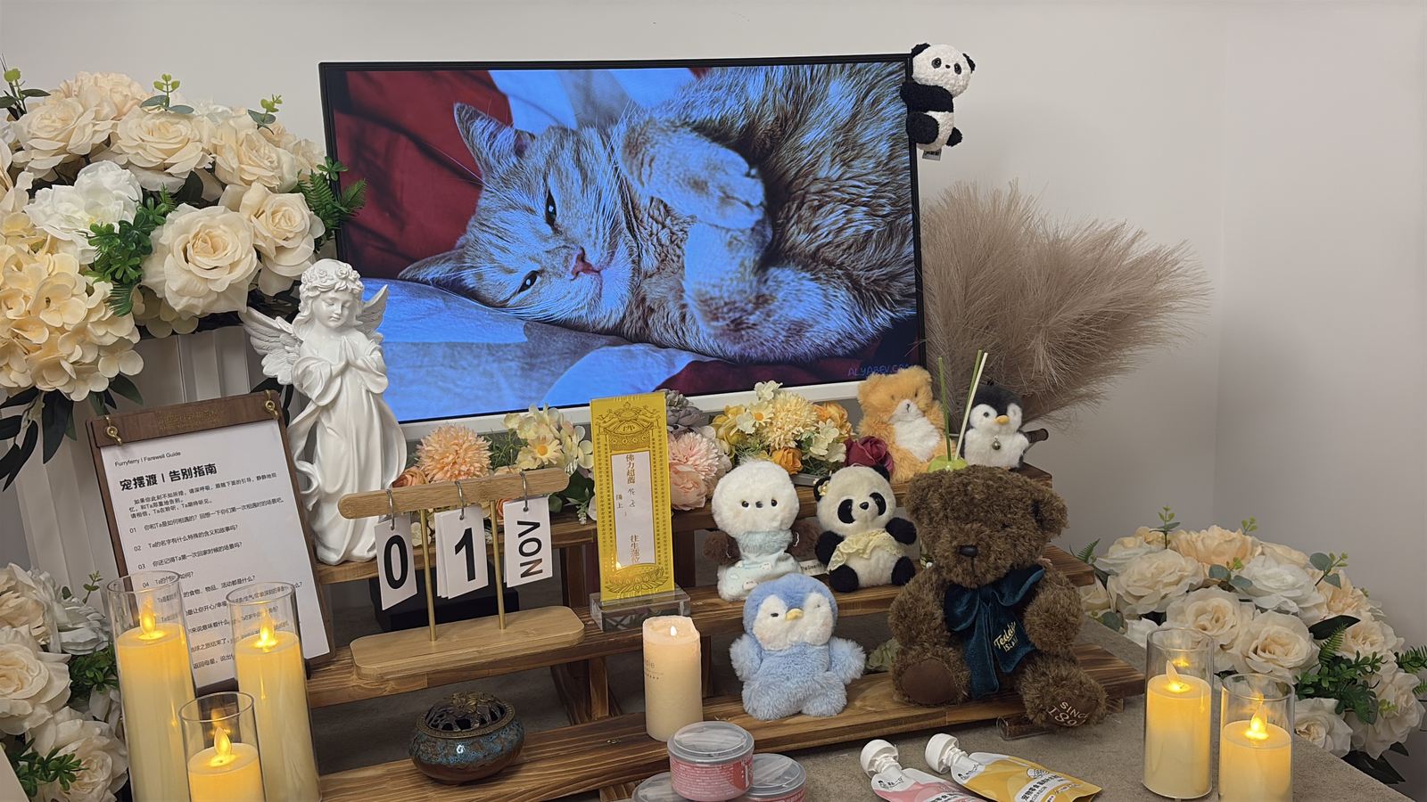 宠物告别纪念仪式